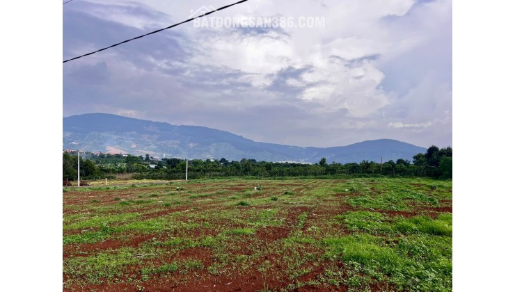 Cần Bán Đất Đông Thanh 350m², Mặt Đường Nhựa 8m, View Nam Ban, Đất Bằng Phẳng